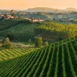 La Madama: A Journey through Piedmont's Tradition and Wines - The Experience of the Tasting