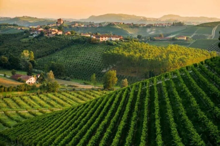 La Madama: A Journey through Piedmont's Tradition and Wines - The Experience of the Tasting