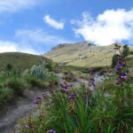 La Malinche Volcano Hike and Explore Tlaxcala from Mexico City - What Makes This Tour Valuable?