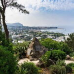 La Mortella Gardens excursion from Ischia - An in-depth look at what to expect