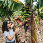 La Orotava: Eco Banana Plantation Tour with Banana Liquor - Final Thoughts