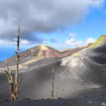 La Palma: Tajogaite Volcano Guided Hike ( ES-ED ) - Who Will Love This Tour?