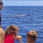 La Palma: Whale Watching Experience and Coastal Highlights - Final Thoughts
