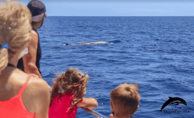 La Palma: Whale Watching Experience and Coastal Highlights - Final Thoughts