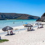 La Paz: Balandra or Tecolote amazing Beach Day Tour - What We Appreciate About This Tour