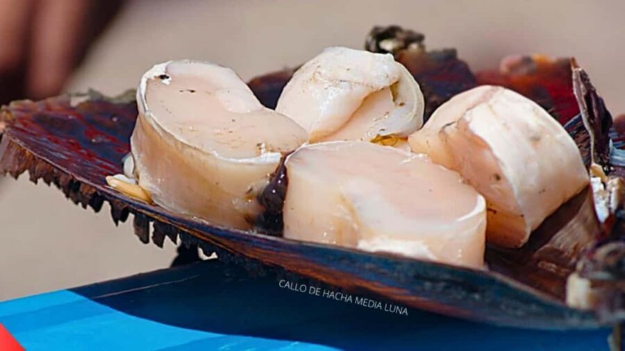 La Paz: Mangrove Adventure, Snorkeling and Shellfish Tasting - A Closer Look at the Tour Itinerary