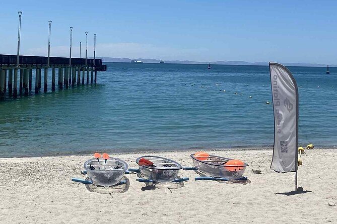 La Paz Transparent Kayaks & Paddle Boards - What the Experience Looks Like in Practice