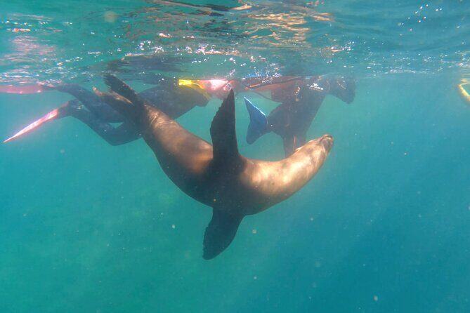 La Paz Wildlife Ocean Safari & Beach Club Leisure in La Ventana - Who Should Consider This Tour?