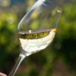 La Roche Vineuse: Tour of the Vine and Wine Museum - Detailed Tour Breakdown