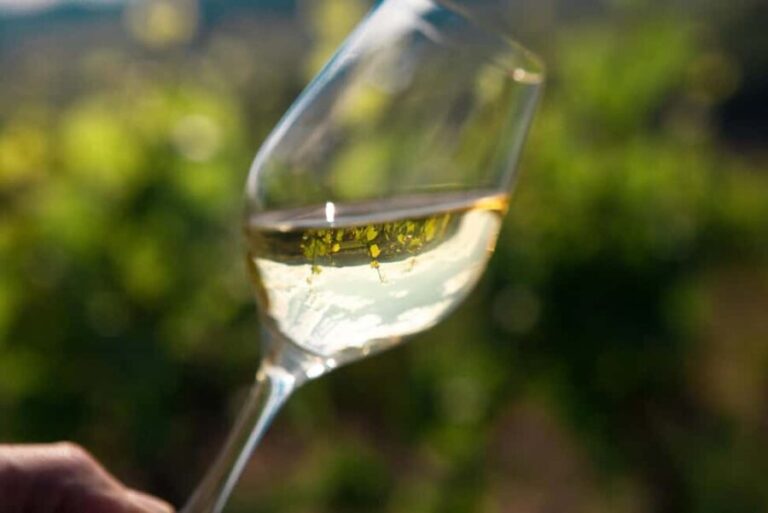 La Roche Vineuse: Tour of the Vine and Wine Museum - Detailed Tour Breakdown