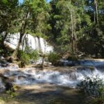 Lacandon Jungle Adventure and Bonampak Archaelogical Site - A Detailed Look at the Itinerary