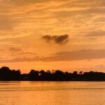 Ladies Luncheon Pontoon Tour (Gentleman welcome) - Who Will Love This Experience