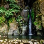 Lagoa do Fogo: Biologist-guided Volcano Geo Tour +Hotsprings - What to Expect