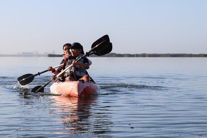 Lagoon Mangrove Tour, Kayaking and Sightseeing from Cancun - Final Thoughts: Is It Worth It?