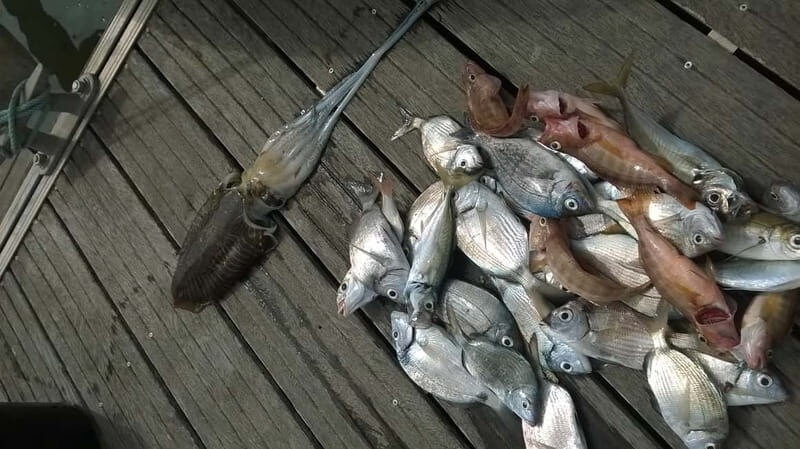 Lagos: Family Fishing Trip - Final Thoughts: Who Will Love It?