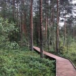 Lahemaa national park in Estonia - Who Should Consider This Tour?