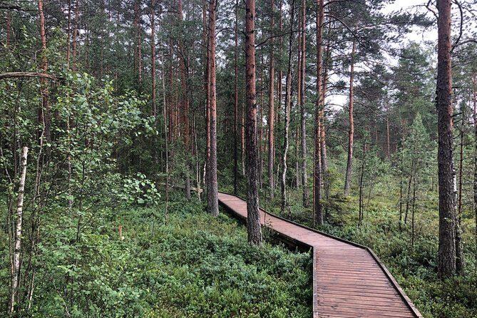 Lahemaa national park in Estonia - Who Should Consider This Tour?