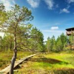 Lahemaa: VIP Tour to Estonias Oldest National Park - Practical Details and What You’ll Love
