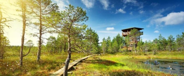 Lahemaa: VIP Tour to Estonias Oldest National Park - Practical Details and What You’ll Love