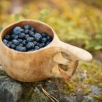 Lahti: Wild Food Foraging Tour with Tastings - An In-Depth Look at the Lahti Wild Food Foraging Tour