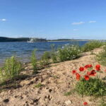 Lake Brombach: Mini cruise with breakfast on the sun deck - Who Should Consider This Tour?