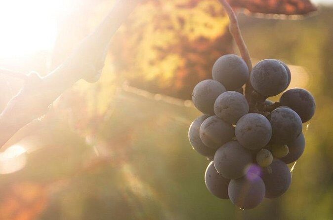 Lake Country Casual Experience - Practical Details & What to Expect