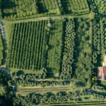 Lake Garda: Tour with 4 Olive Oil Tasting & Local Food - Value for Money and Practicalities