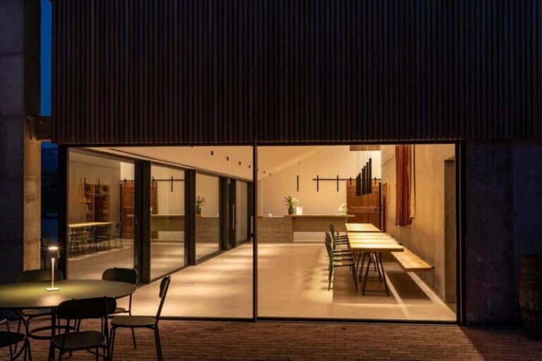 LAKE GARDA: VINEYARD AND WINERY TOUR - What the Experience Means for You