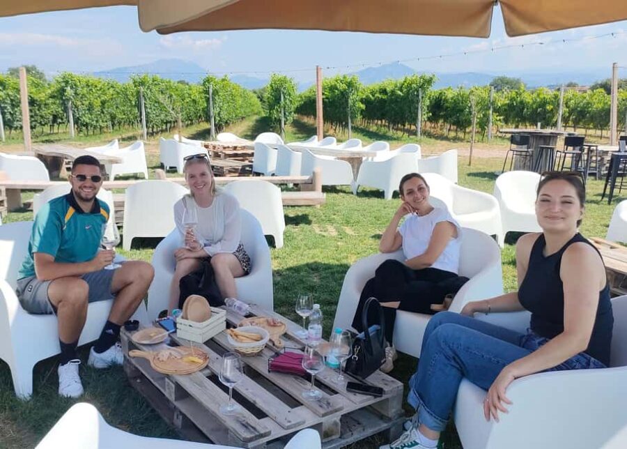 Lake Garda: Wine Tasting with Panoramic View - Value and Cost Analysis