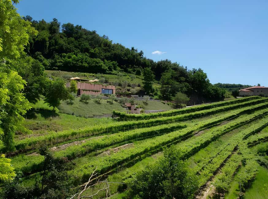 Lake Garda: Winery Tour and Wine Tasting in Valpolicella - Sustainable Practices and the Countryside