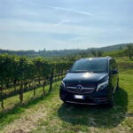 Lake Garda: Winery Visit with Wine and Olive Oil Tasting - Who Will Love This Tour?