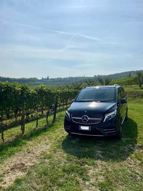 Lake Garda: Winery Visit with Wine and Olive Oil Tasting - Who Will Love This Tour?