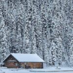 Lake Louise and Icefields Parkway Winter Tour - Frequently Asked Questions