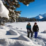 Lake Louise, Peyto Lake, Johnston Canyon & Icefields Parkway - What to Expect at Each Stop