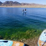 Lake Mead Paddle Board Tour (Private) - Who This Tour Is Best For