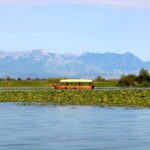 Lake Skadar: Guided Sightseeing Boat Tour with Drinks - The Experience for Different Travelers