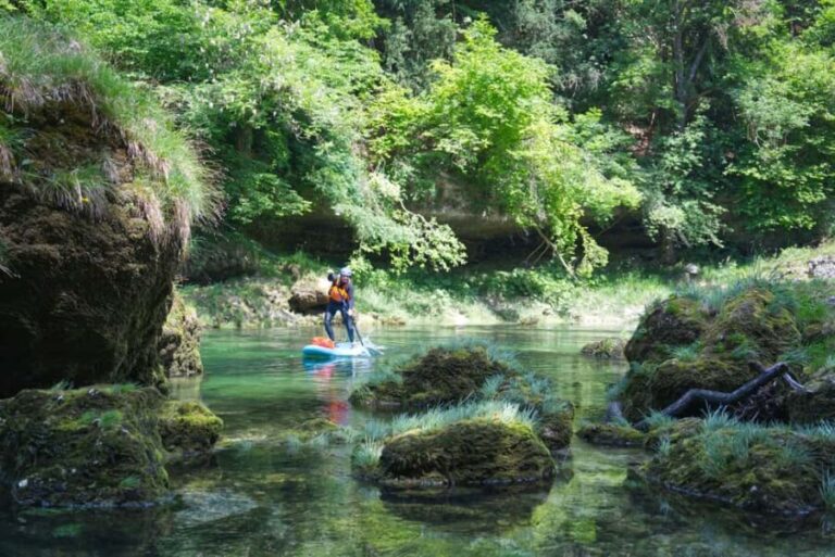 Lambach: Guided SUP & kayak tour through the Natura 2000 area Traun - Who Would Love This Tour?