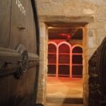 LAMEGO: Douro Valley and History of the City 6H - Why Choose This Tour? What Makes It Special