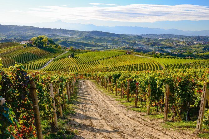 "Langhe del Barolo" Private E-bike Tour - Asphalt and Dirt Road - Why This Tour Offers Great Value