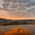 Langhe e Monferrato: Amerio Vincenzo Wine Tour and Tasting - An In-Depth Look at the Amerio Vincenzo Wine Tour