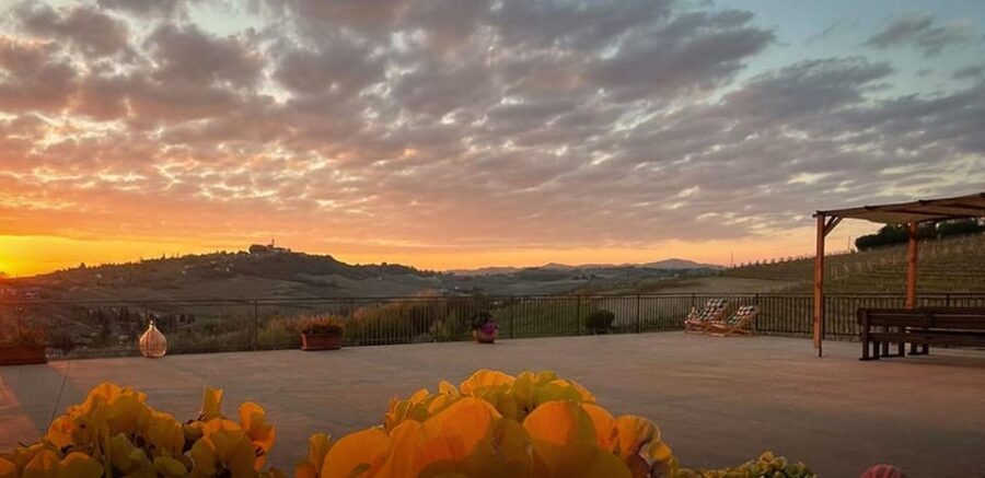 Langhe e Monferrato: Amerio Vincenzo Wine Tour and Tasting - An In-Depth Look at the Amerio Vincenzo Wine Tour