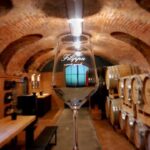 Langhe e Monferrato: Tour & Wine tasting of Agliano Wines - A Closer Look at the Tour Experience