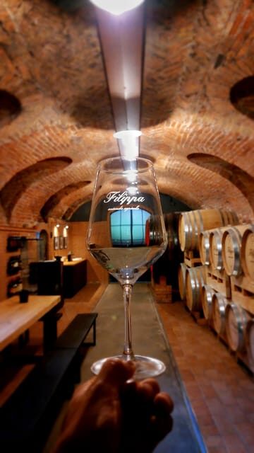 Langhe e Monferrato: Tour & Wine tasting of Agliano Wines - A Closer Look at the Tour Experience