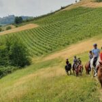 Langhe: Horse Riding in the Vineyards - Exploring the Langhe Horse Riding Experience