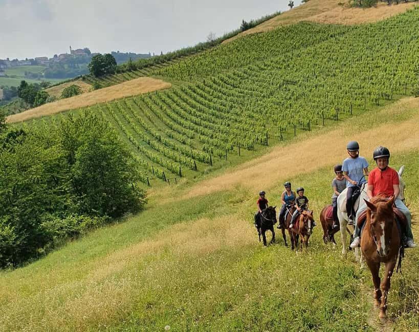 Langhe: Horse Riding in the Vineyards - Exploring the Langhe Horse Riding Experience