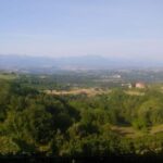 Langhe: Visit to the Vineyard and Historic Cellars with Tasting - The Experience: Details and Practicalities