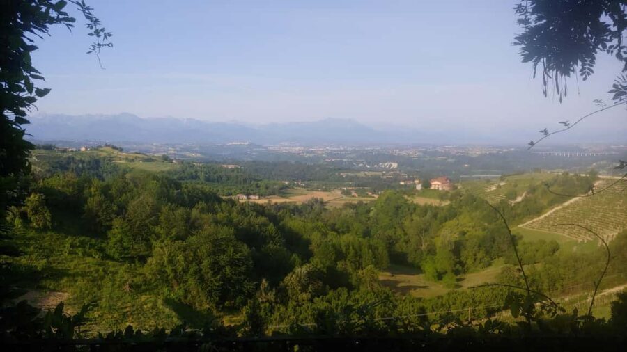 Langhe: Visit to the Vineyard and Historic Cellars with Tasting - The Experience: Details and Practicalities