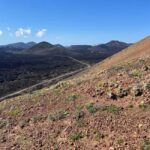 Lanzarote: Guided Hike discover volcano history and culture - Why This Tour Works Well