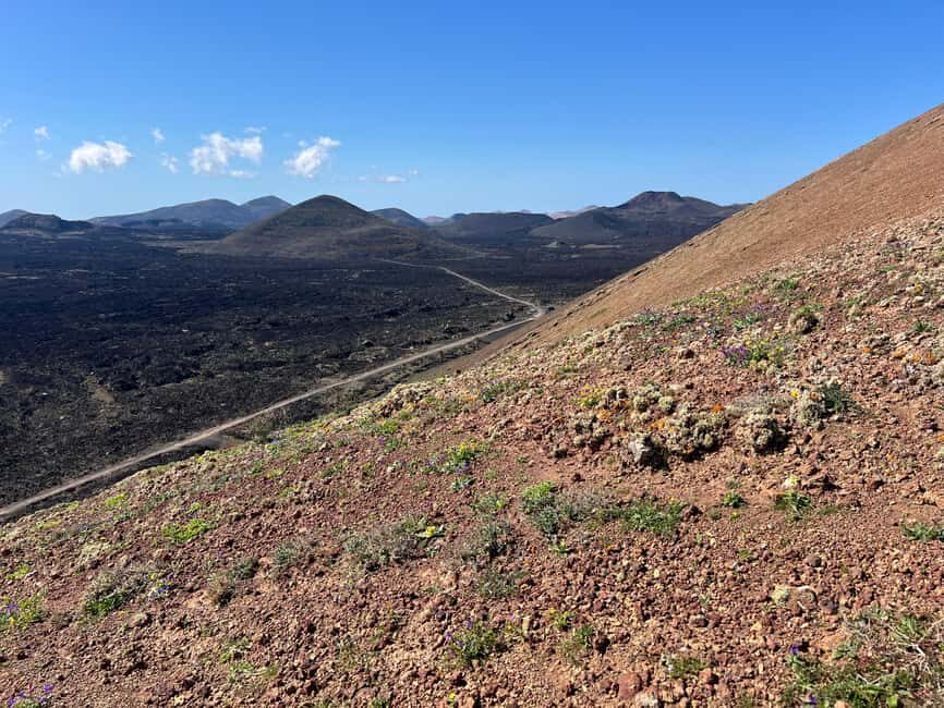 Lanzarote: Guided Hike discover volcano history and culture - Why This Tour Works Well  