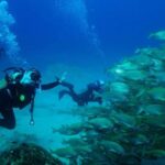 Lanzarote: Snorkeling Tour - The Highlights of the Tour